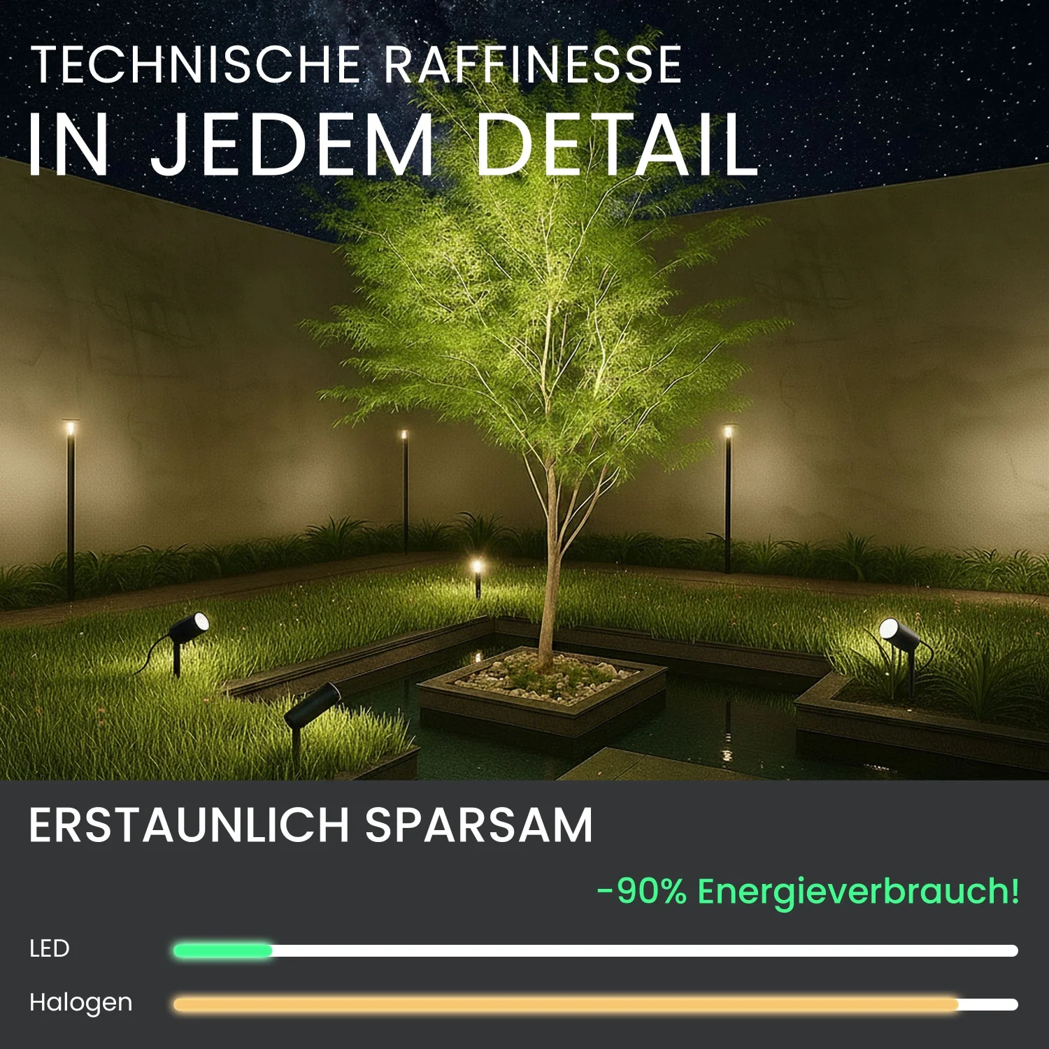Vorschaubild 6