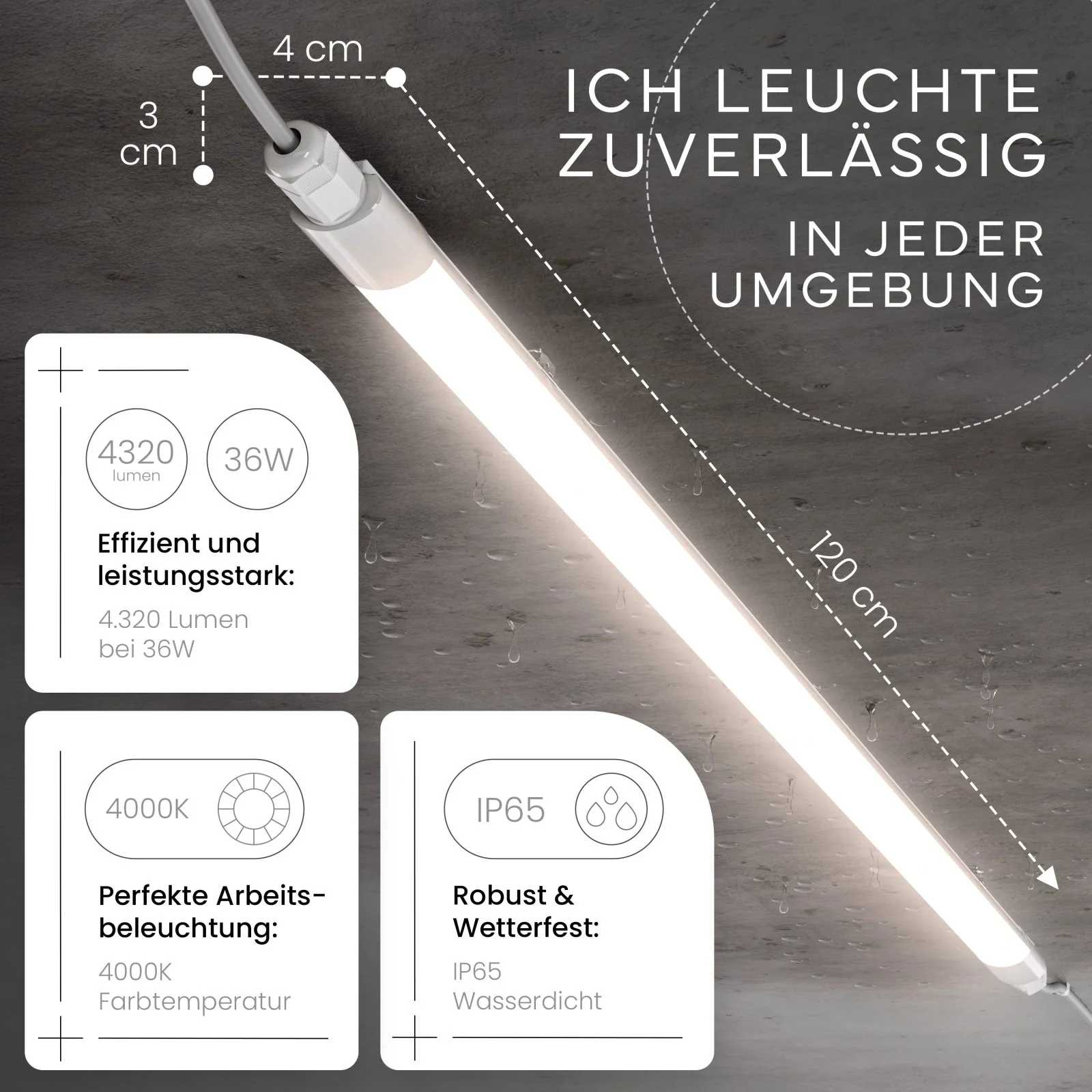 Vorschaubild 9