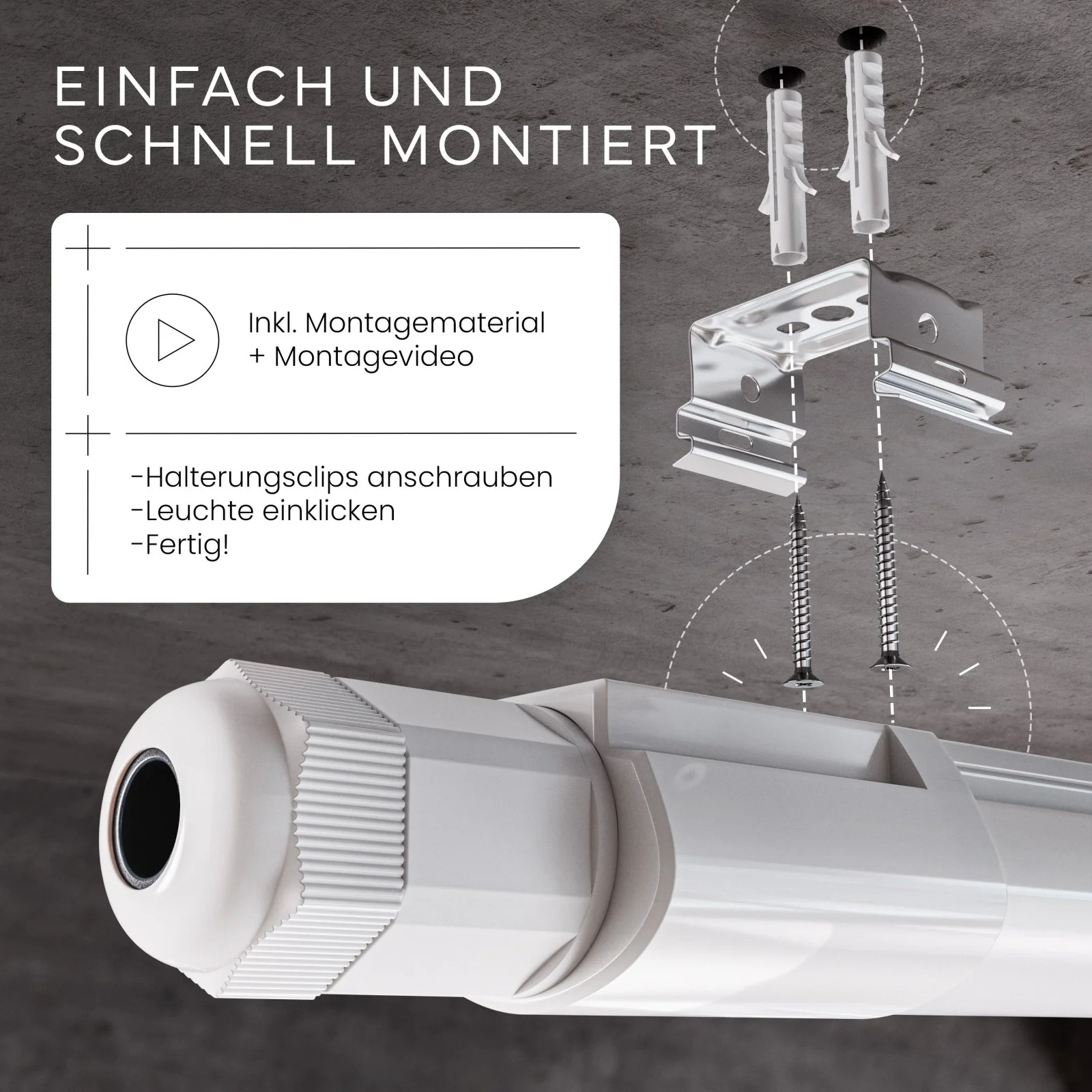 Vorschaubild 10