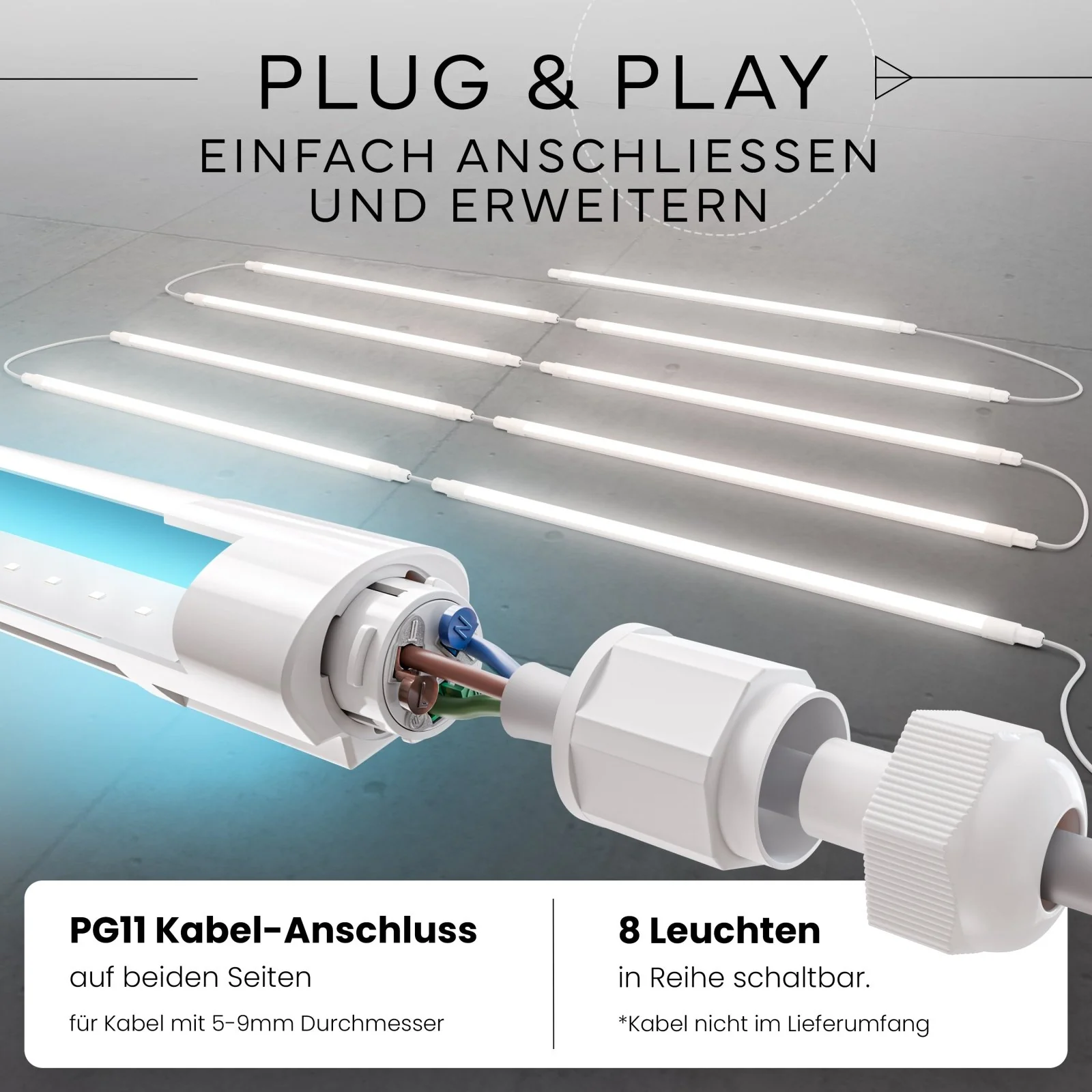 Vorschaubild 11