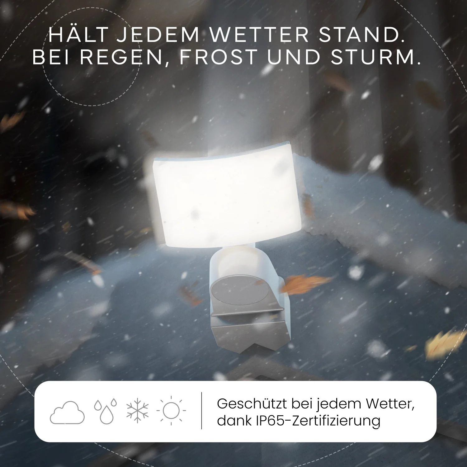 Vorschaubild 11