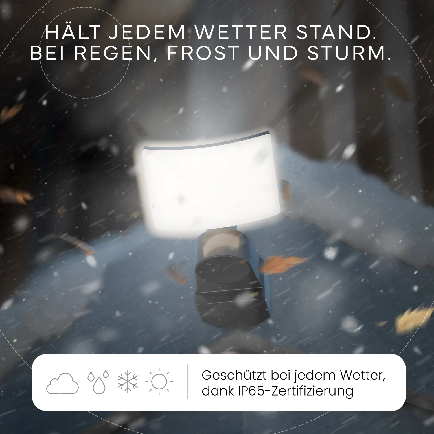 Vorschaubild 6