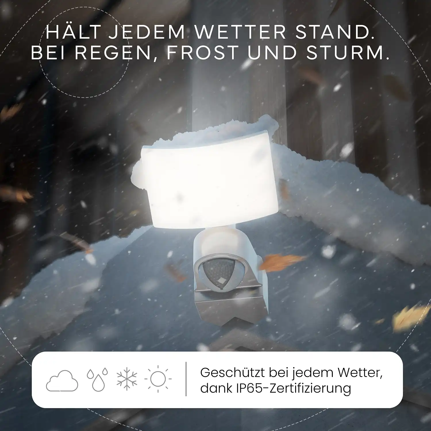 Vorschaubild 13