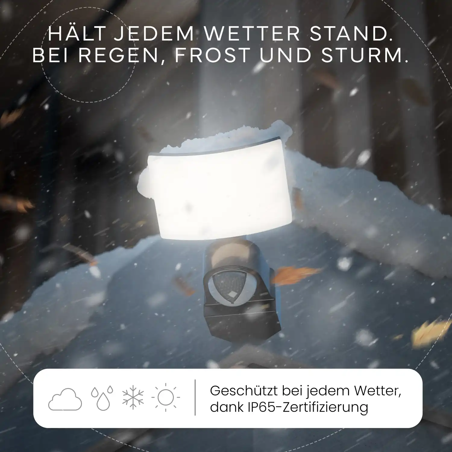 Vorschaubild 6